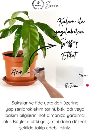 #İsimlik Suya Dayanıklı Yazılabilen Baharat Etiketi 30 Adet Şeffaf Yapışkanlı Kavanoz Etiketi Fide Tohum Saksı Bitki İsimlendirme Markalama Not Etiketi Güçlü Yapışkan İz Bırakmadan Çıkarılabilir