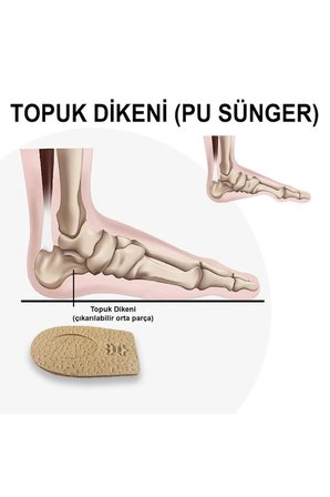 LT05 - Deri Topuk Koruyucu | Topuk Dikeni Önleyici, 1 Cm Boy Uzatma, Ter Emici, Hakiki Deri Destek