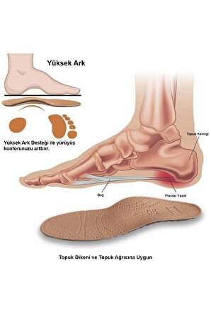 LT01 - Deri Tam Ortopedik | Ark Destekli, Koku Önleyici Ve Ter Emici Hakiki Deri Iç Tabanlık