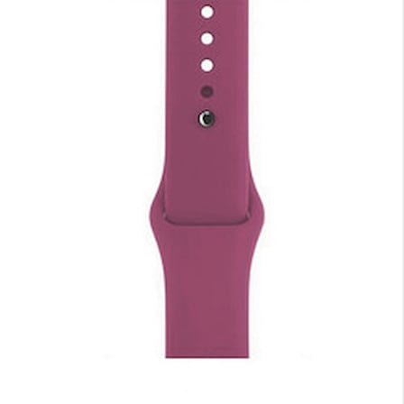 Lexroo Apple Watch 38mm Klasik Kordon - English Lavender