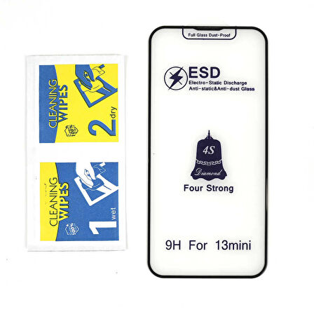 iPhone 13 Mini Uyumlu Zore Rika Premium Temperli Cam Ekran Koruyucu