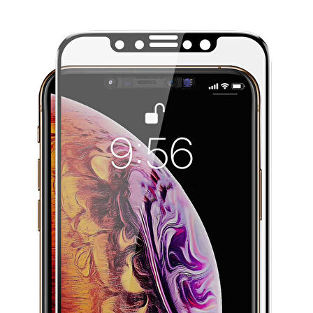 iPhone 11 Pro Uyumlu Davin 5D Privacy Cam Zore Ekran Koruyucu