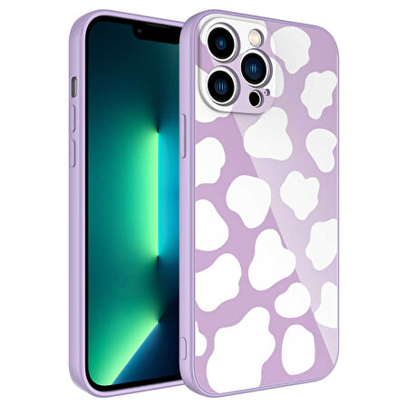 iPhone 12 Pro Max Uyumlu Kamera Korumalı Desenli Sert Silikon Zore Epoksi Kılıf-NO6