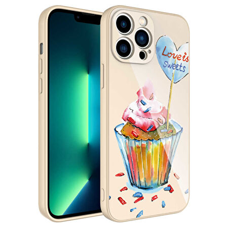 Apple iPhone 12 Pro Max Kılıf Kamera Korumalı Desenli Sert Silikon Zore Epoksi Kapak-NO8