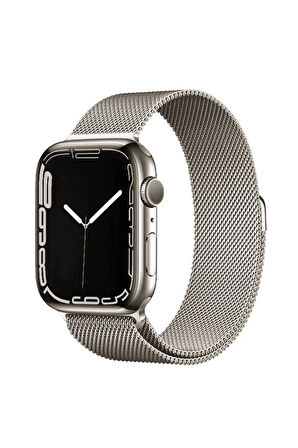 Apple Watch 42mm Band-01 Metal Kordon-starlight