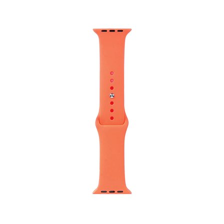 Watch 42mm Band Serisi Klasik Kordon Silikon Strap Kayış-Pawpaw