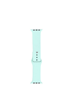 Apple Watch 42mm Band Serisi Klasik Kordon Silikon Strap Kayış-Emerald Green