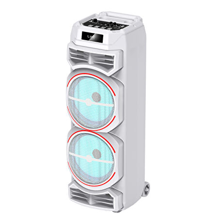 GD-2828 Dijital LED Göstergeli Mikrofonlu RGB TWS Çift 8 inç Stereo Bass Kablosuz Karaoke Hoparlör