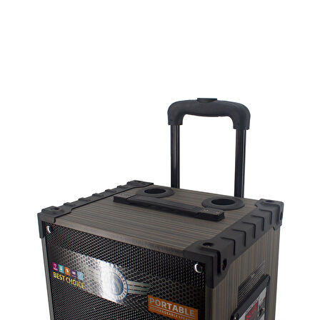 LT-912 Dijital LED Göstergeli FM Radyolu Mikrofonlu Gitar Girişli TWS 12 inç Stereo Bass Kablosuz Karaoke Hoparlör