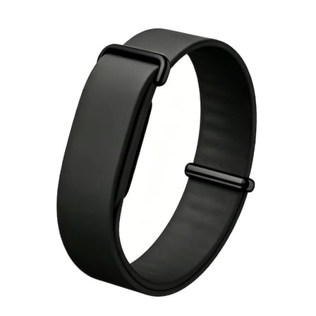 Lexroo Google Fitbit Air Silikon Kordon - Lila