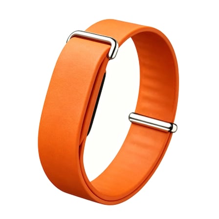 Lexroo Google Fitbit Air Silikon Kordon - Turuncu