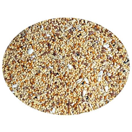 Quik Sade 12 x 150 Gr Muhabbet Kuşu Yemi 