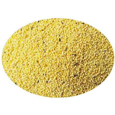 Quik Special Sade 400 Gr Muhabbet Kuşu Yemi 