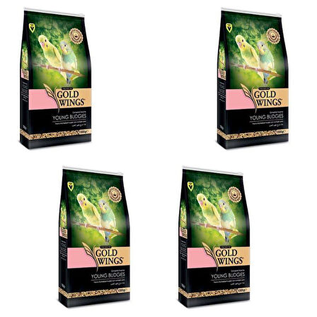 Gold Wings Premium Yavru Muhabbet Kuşu Yemi 1 Kg X 4 Adet