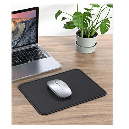 Hadron HDX3549 Mouse Ped NT-102037