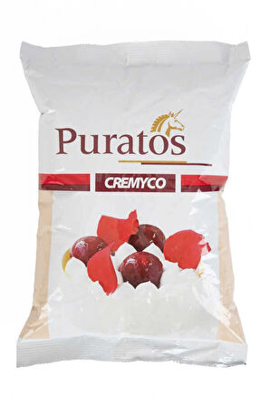 PURATOS Cremyco Pasta Kreması-toz Krem Patiseri 1 Kg