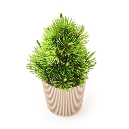 Eva Dekor Saksılı Yapay Çam Ağacı - Renkli - 15x5 cm