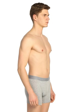 Erkek Gri 2'li Paket Likralı Boxer ELF568T0114CCM2