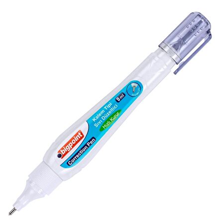 Bigpoint Kalem Tipi Sıvı Silici 8 ml Blister