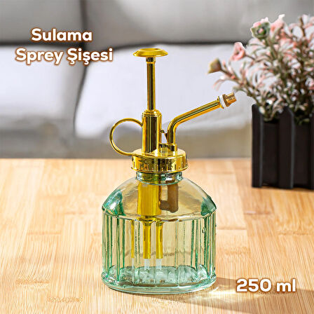 Perotti 15733 Yeşil Vintage Cam Bitki Sulama Şişesi Oda Kokusu Dağıtıcı Cam Dağıtıcı Sprey 250ml