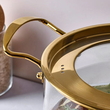 Perotti Logan Gold Kapaklı Cam Tencere 5,5 L 20x20 cm
