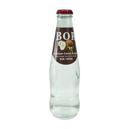 Bor Gazoz Hindistan Cevizli (24 adet)