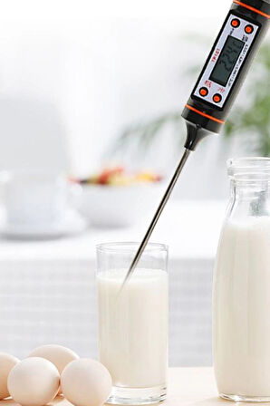 Sıvı Gıda Mutfak Termometresi Daldırma Tipi Tepeyüzbir /