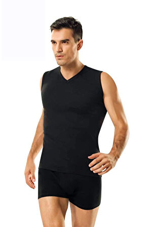 2'li Paket V Yaka 0 Kol Erkek Fanila