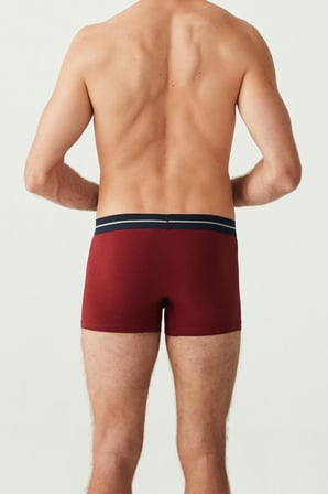 U.S. Polo Assn. Erkek Bordo - Lacivert - Gri Melanj  3 Lü Boxer
