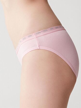U.S. Polo Assn. Kadın Pembe - Beyaz - Gri 3 Lü Slip