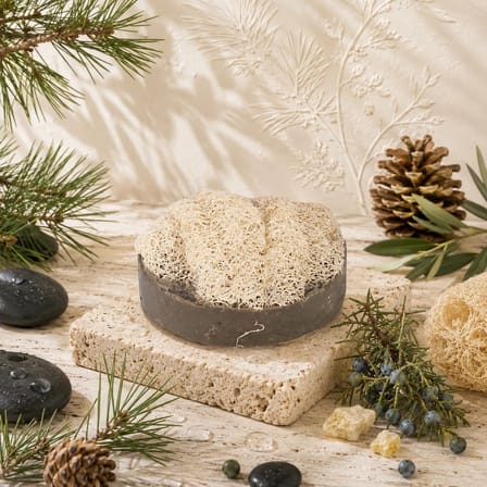 Internatural Ardıç Katranı Kabak Lifli Bitkisel Sabun 110 g