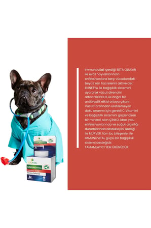 Immunovital 60 Delıcıous Tablet