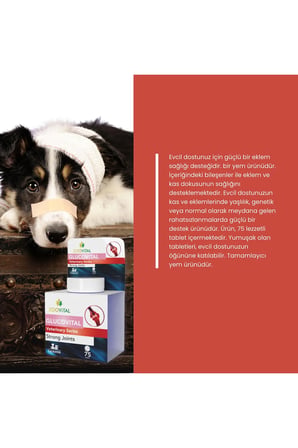 Glucovital 75 Tablet Kedi Ve Küçük Irk Köpekler Için Kas Ve Eklem Desteği