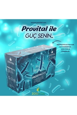 Provital Köpek Prebiyotik Desteği 12 Adet- Sindirim Düzenleyici Prebiyotik Ve Vitamin