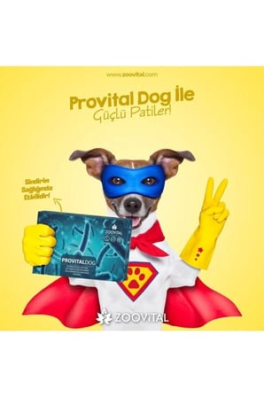 Provital Köpek Prebiyotik Desteği 12 Adet- Sindirim Düzenleyici Prebiyotik Ve Vitamin