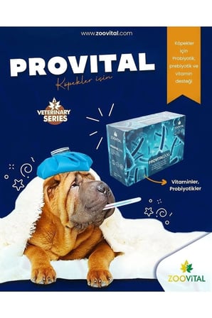 Provital Köpek Prebiyotik Desteği 12 Adet- Sindirim Düzenleyici Prebiyotik Ve Vitamin