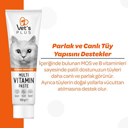Vet's Plus Multivitamin 100 gr Kediler için Bağışıklık Sistemi Destekleyici Malt Macun