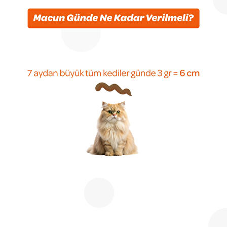 Vet's Plus Multivitamin 100 gr Kediler için Bağışıklık Sistemi Destekleyici Malt Macun
