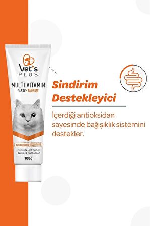 Vet's Plus Multivitamin 100 gr Kediler için Bağışıklık Sistemi Destekleyici Malt Macun