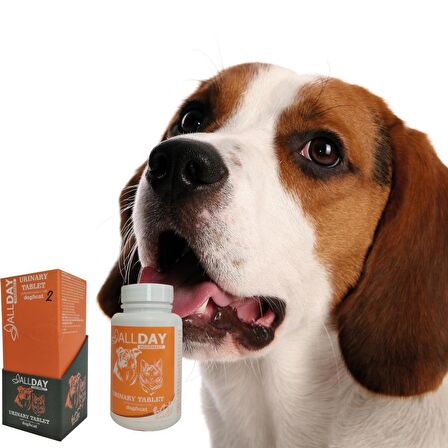 AllDay 2 Urinary Kedi Ve köpekler İçin Tablet 75 gr