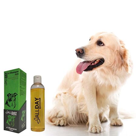 Allday All-Shampoo Cat Dog Hindistan Cevizli Köpek Şampuan 250 Ml