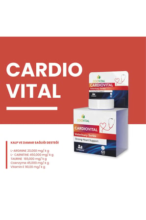 Cardiovital Kedi Ve Köpekler Için desteği lezzetli 60 tablet
