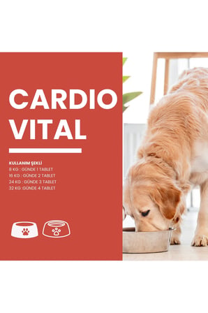 Cardiovital Kedi Ve Köpekler Için desteği lezzetli 60 tablet