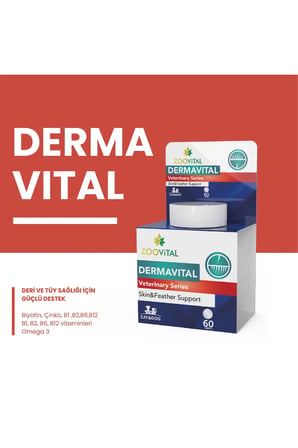 Dermavital 60 Tablet Evcil Hayvan Deri ve Tüy Desteği