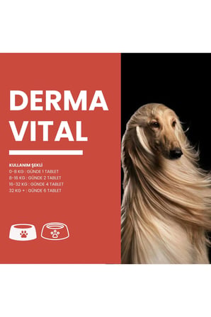 Dermavital 60 Tablet Evcil Hayvan Deri ve Tüy Desteği