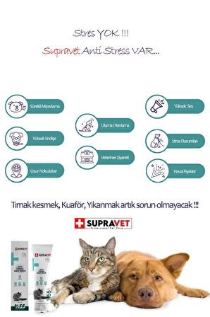 Anti Stress Relax Paste Sakinleştirici Kedi Macunu 100 gr (Şekersiz ) ( %55 Extra Malt )