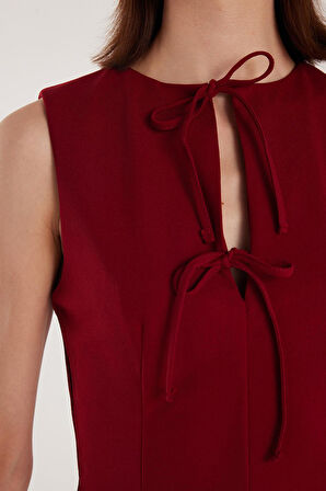 Kadın Regular Fit Klasik Kesim Boyun Bağlama Detaylı Mini Bordo Elbise
