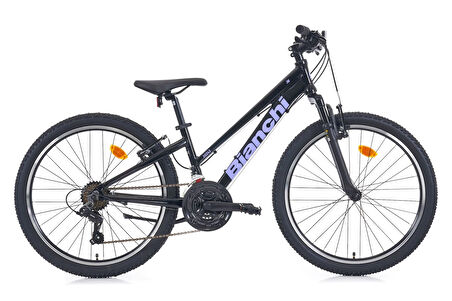 Bianchi JM00243 V Fren 21 Vites 24 Jant Dağ Bisikleti Siyah Mor 31 Kadro