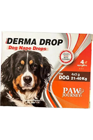 Paw Journey Maxi Derma Köpek Ense Damlası 4'lü Damla Paketi 4 x 3 gr