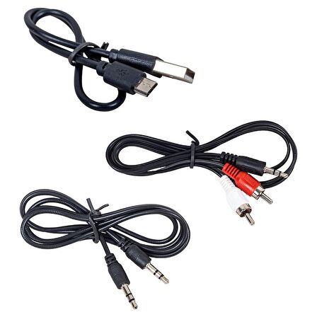 POWERMASTER PM-1621 KN319 2IN1 BLUETOOTH 4.2 KABLOSUZ AV SES AKTARICI